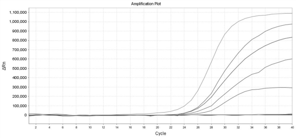 Y chromosome microdeletion detection kit