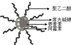 pH sensitive nanoparticles prodrug with capacity of co-delivering multiple drugs, preparation method and application thereof