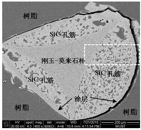 Silicon carbide-based composite foam ceramics with multi-layer pore-reinforcement structure and preparation method thereof