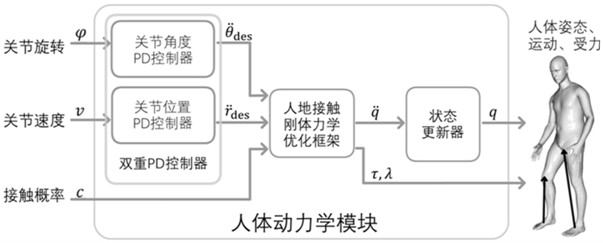 Sparse imu real-time human motion capture and joint force prediction method and system