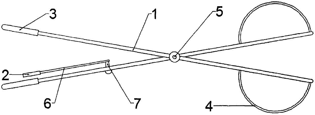 Special examination device for veterinarians