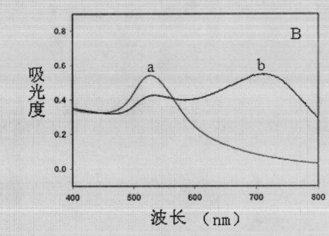 Trithiocyanuric acid dressed gold-size nanoprobe-based colorimetric determination method of mercury ions