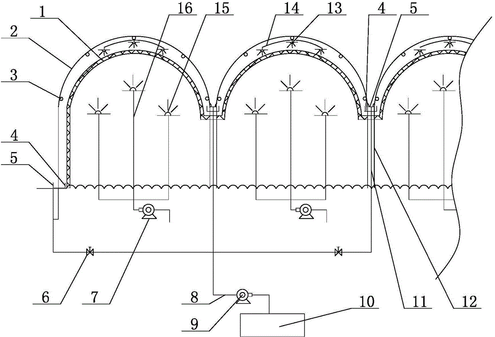 Solar water-salt co-production device and manufacturing technology thereof