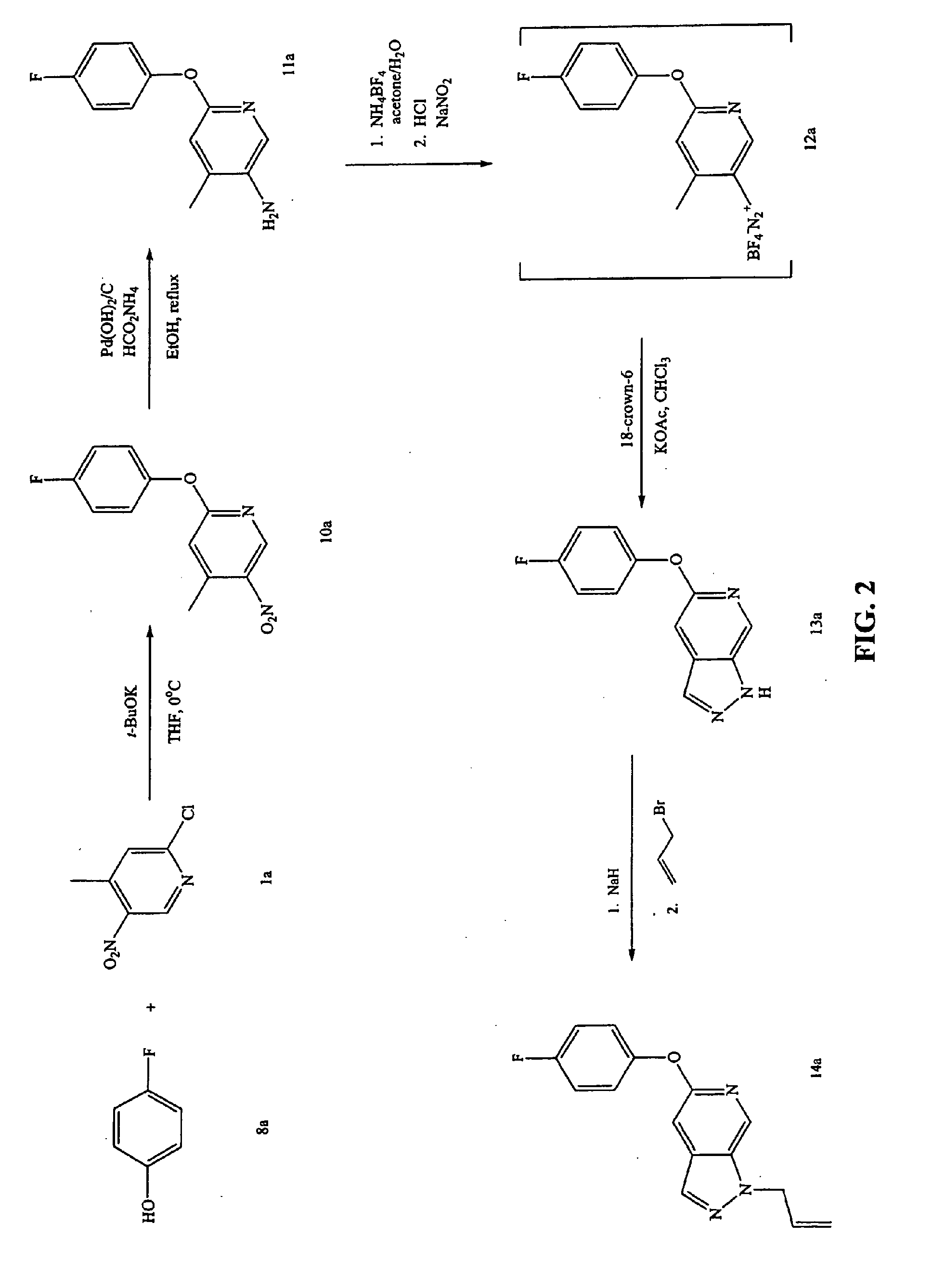 P38 inhibitors and methods of use thereof