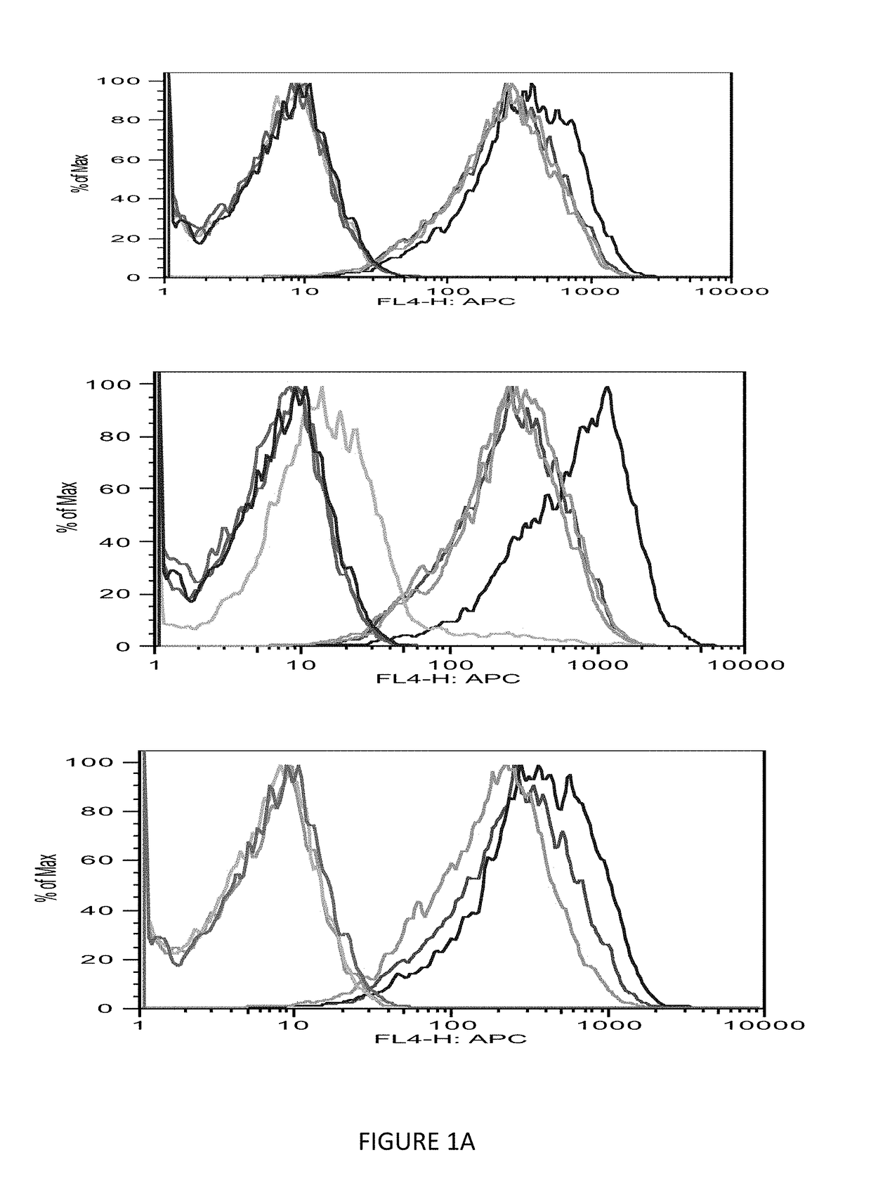 Monoclonal antigen-binding proteins to intracellular oncogene products