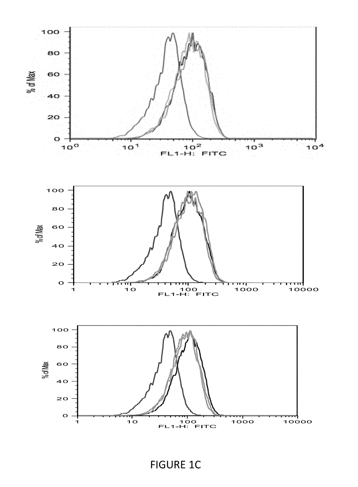 Monoclonal antigen-binding proteins to intracellular oncogene products