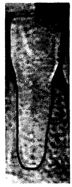 Method for reconstructing three dimensional model of complete teeth through CT data of dentognathic gypsum model and dentognathic panoramic perspective view