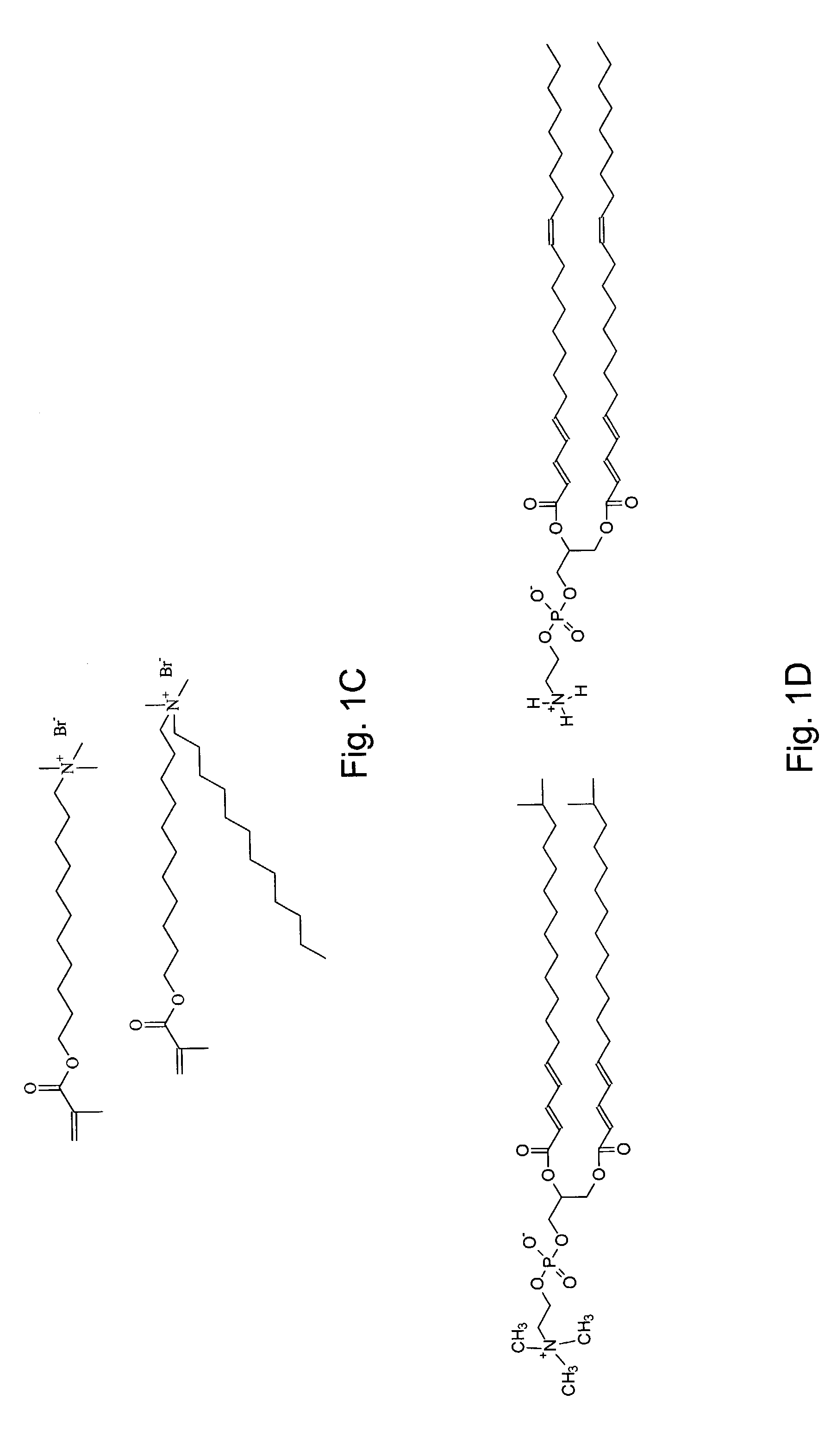 Nanoporous composites of polymerized lyotropic liquid-crystalline monomers, and hydrophobic polymers