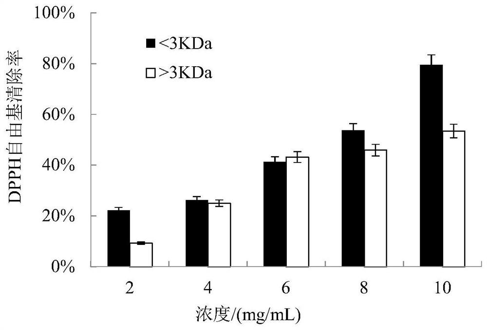 Antioxidant peptide and preparation method and application thereof