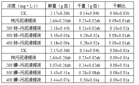 Method for regulating festuca arundinacea protective enzyme under water stress by using sludge and rare earth mixed seed soaking liquid