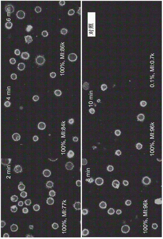 Compositions and methods for modifying the surface of cells and methods of use