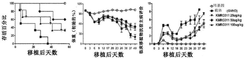 Composition for preventing or treating graft-versus-host disease comprising tlr5 agonist derived from flagellin as effective component