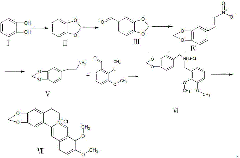 Synthetic process of berberine