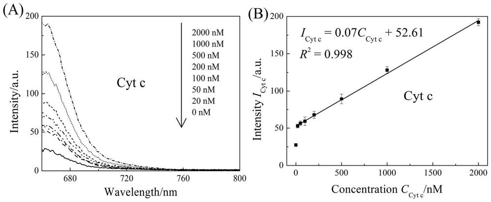 Fluorescent probe for monitoring apoptosis as well as preparation method and application of fluorescent probe