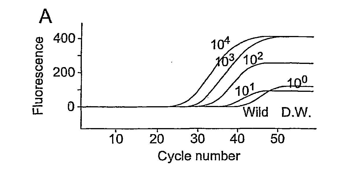 Method to predict or monitor the response of a patient to an erbb receptor drug