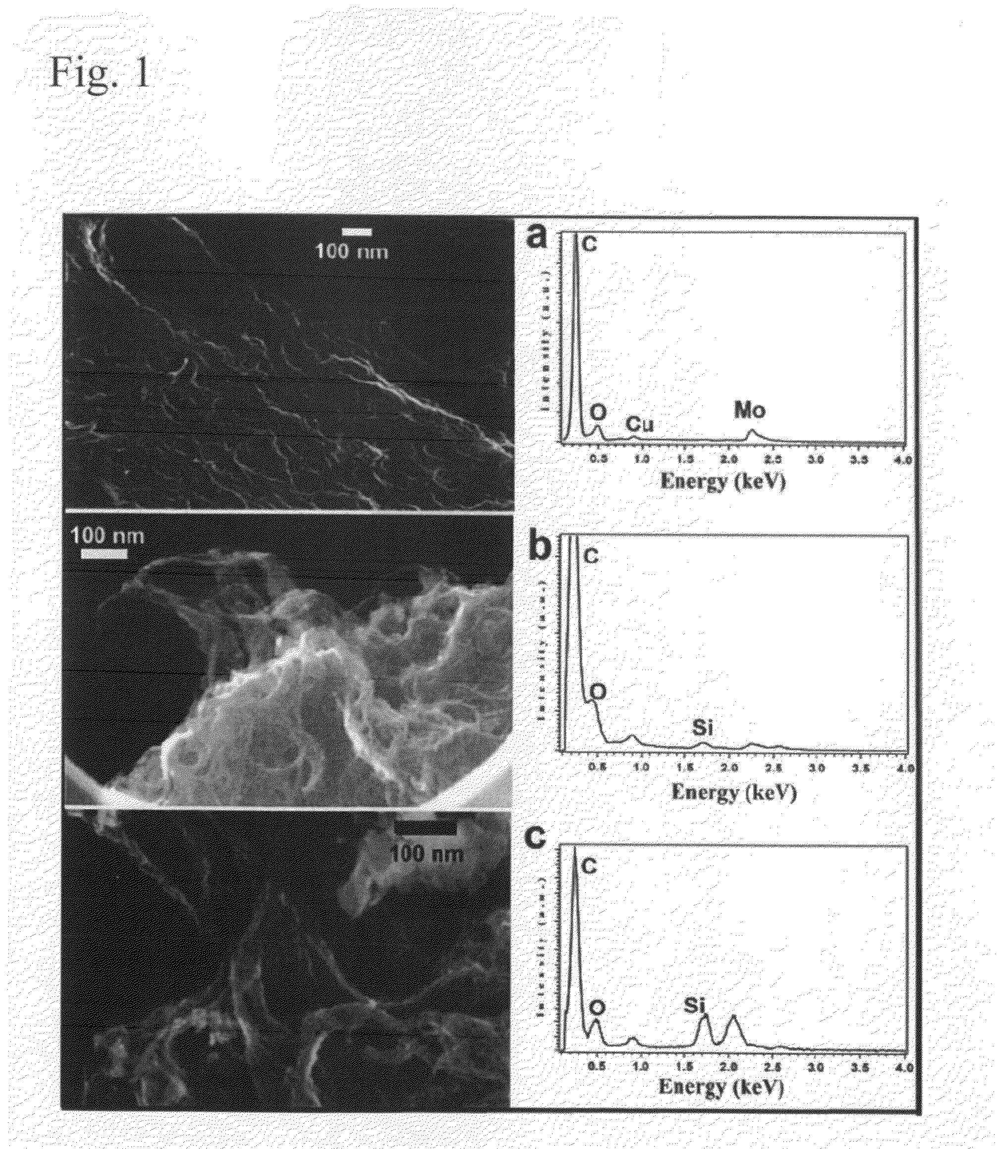 Silylated carbon nanotubes and methods of making same