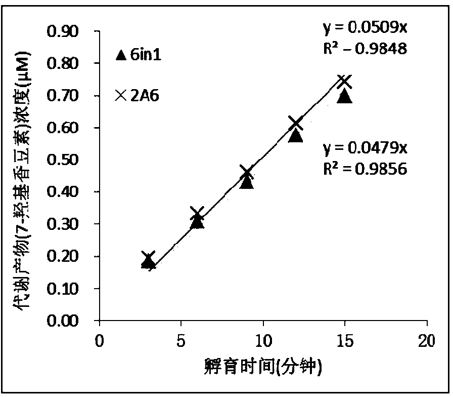 Specific probe substrate composition of cytochrome P450 enzyme and application of specific probe substrate composition