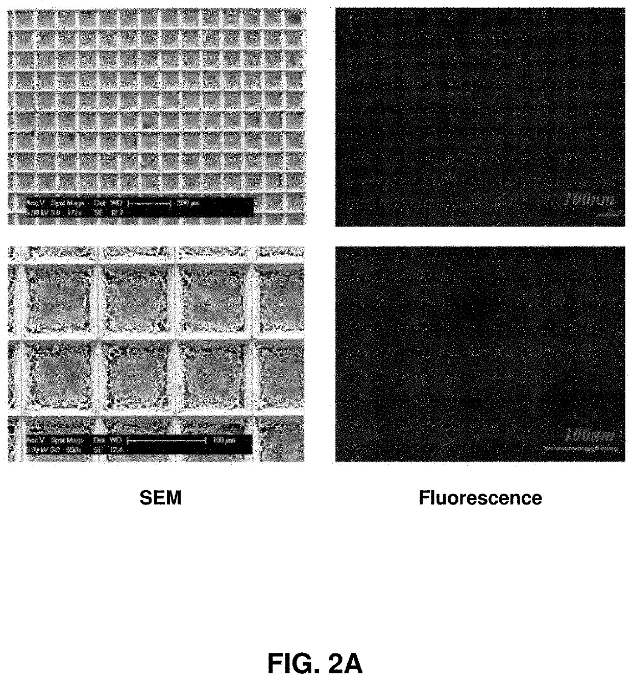 Spatial molecular analysis of tissue