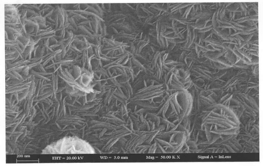 A preparation method of titanium dioxide sheet/graphene composite film with {001} crystal plane