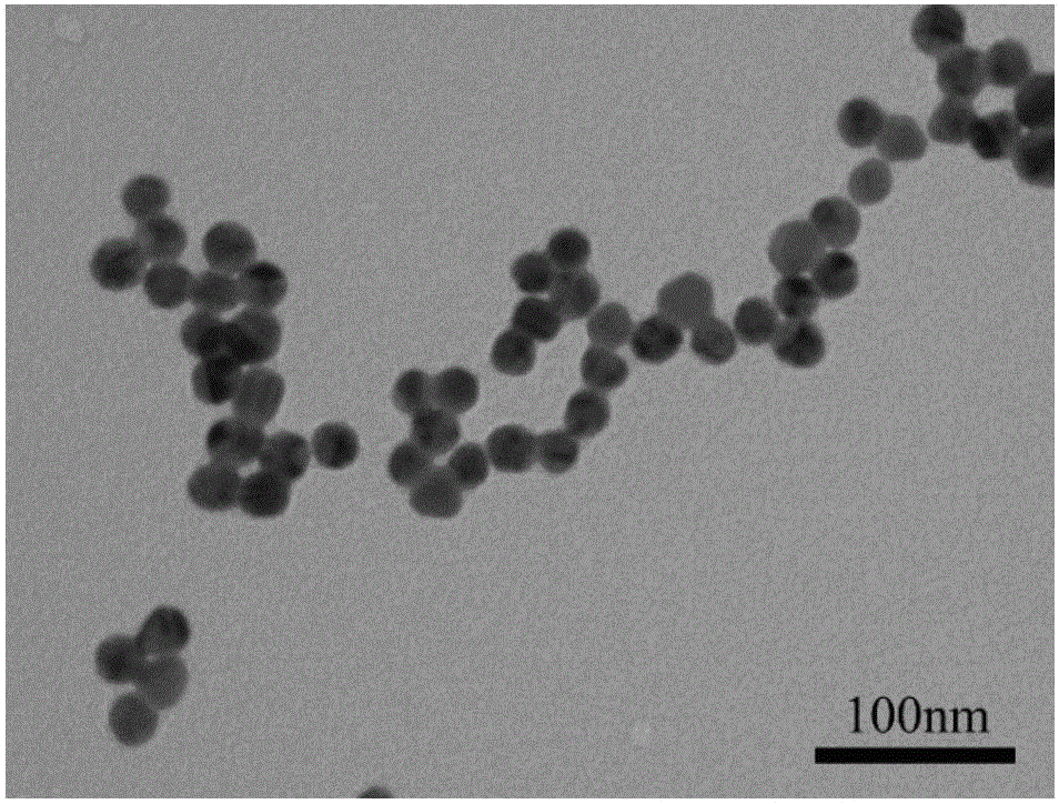 Preparation method of thorn-shaped or petal-shaped rough-surface gold-silver alloy nanometer material