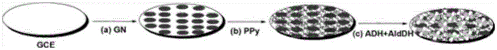 Graphene-based enzyme-modified anode of biological fuel cell and preparation and application