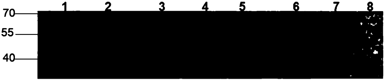 Immunogenic polypeptide of 71-type VP1 antigen of enterovirus, preparation method and application thereof