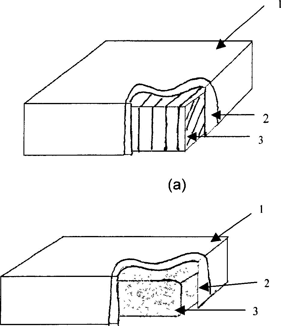 Passive self-adaptive memory cushion and its preparation method