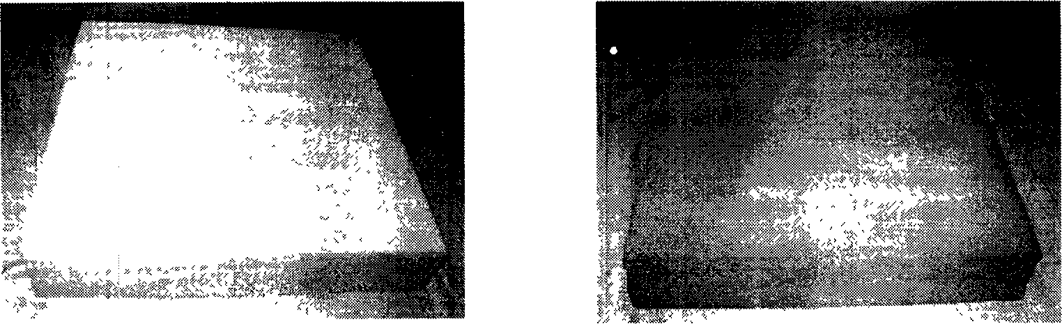 Passive self-adaptive memory cushion and its preparation method