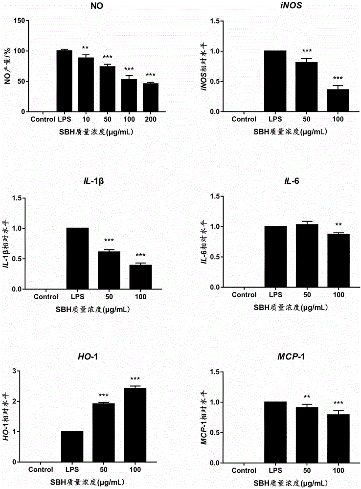 Extraction for polyphenols from honey made by stingless bees and applications of extract in immunoregulation