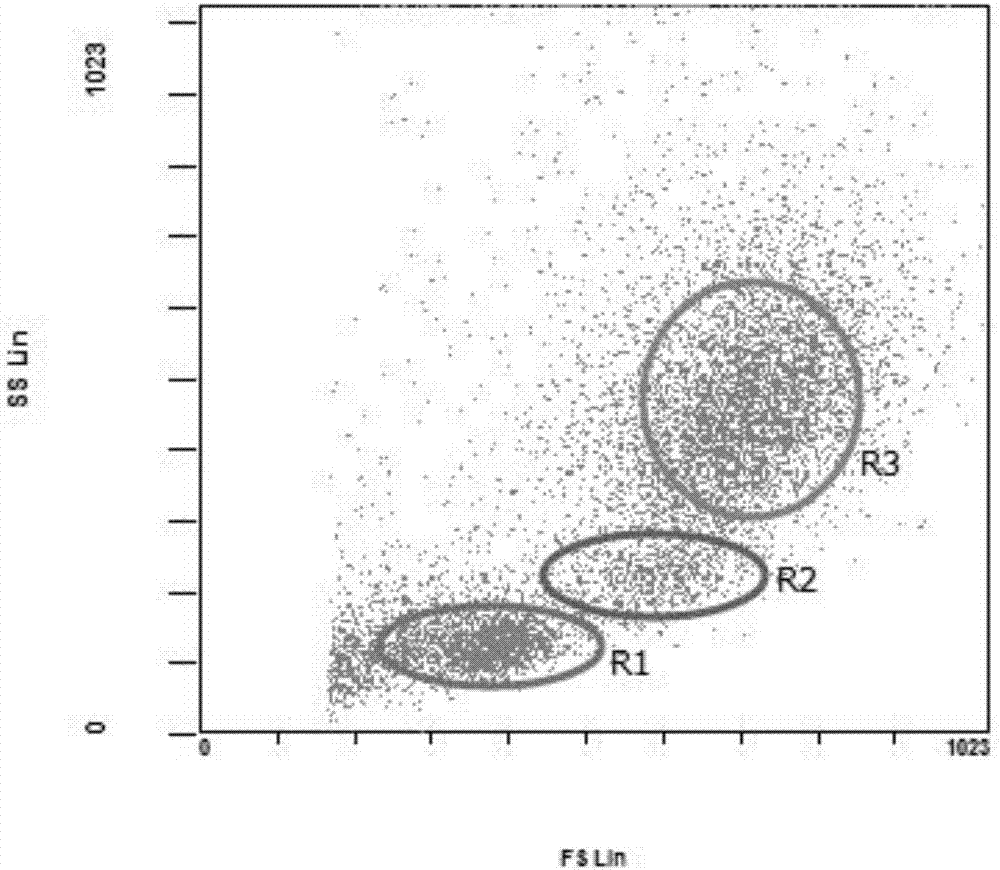 Preparation method of fish single-cell suspension