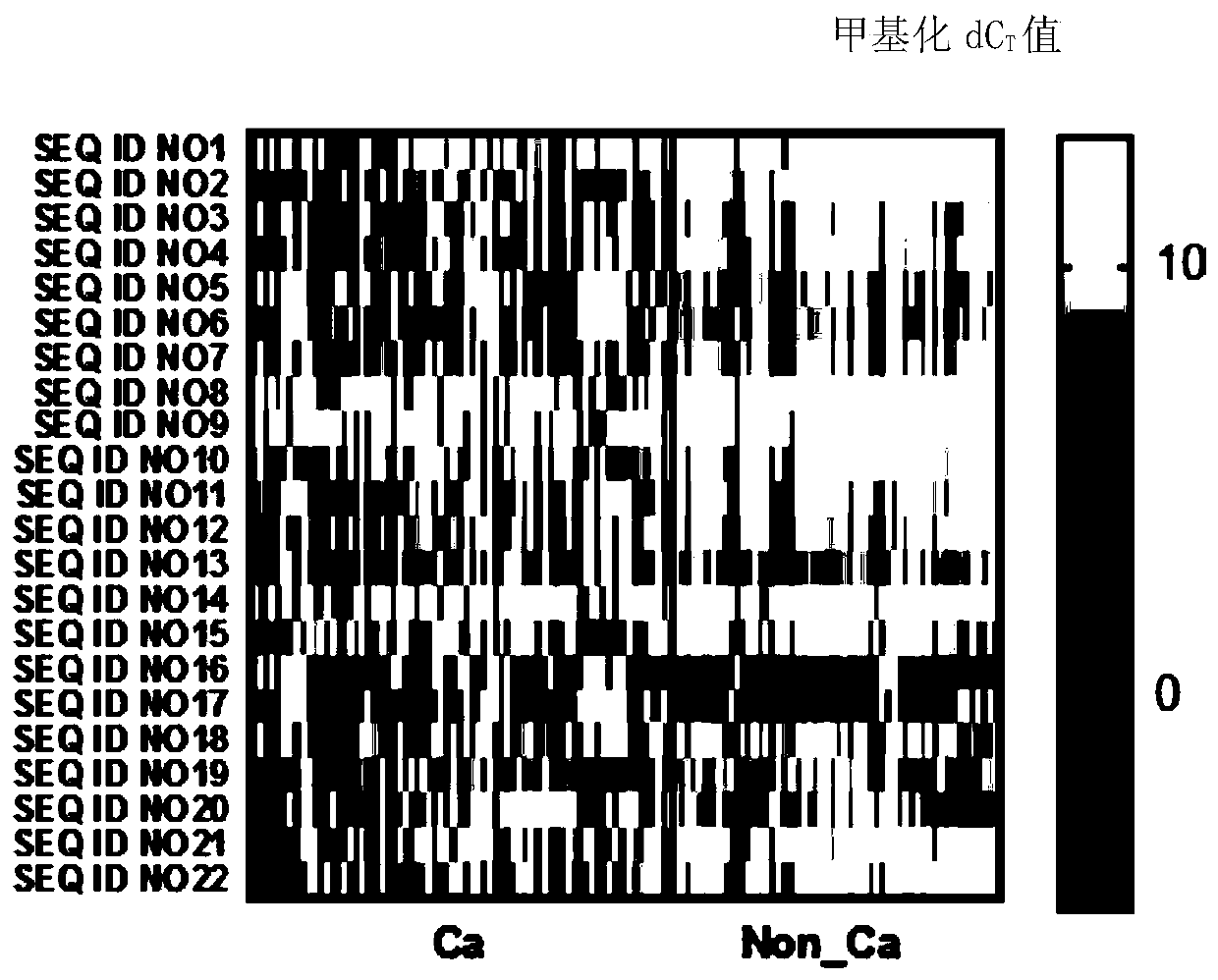 DNA methylation biomarker composition, detection method and kit