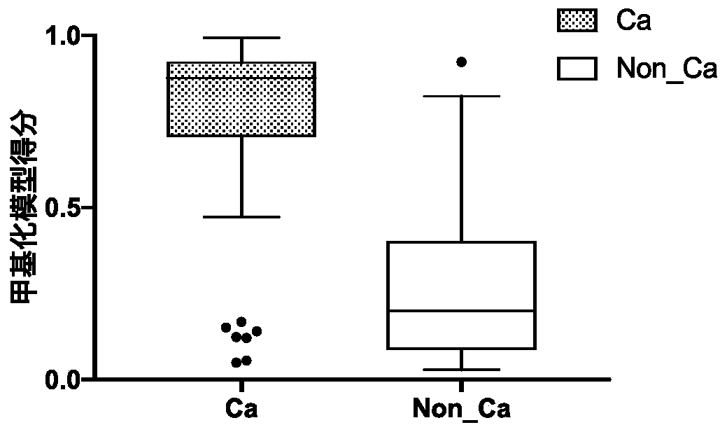 DNA methylation biomarker composition, detection method and kit