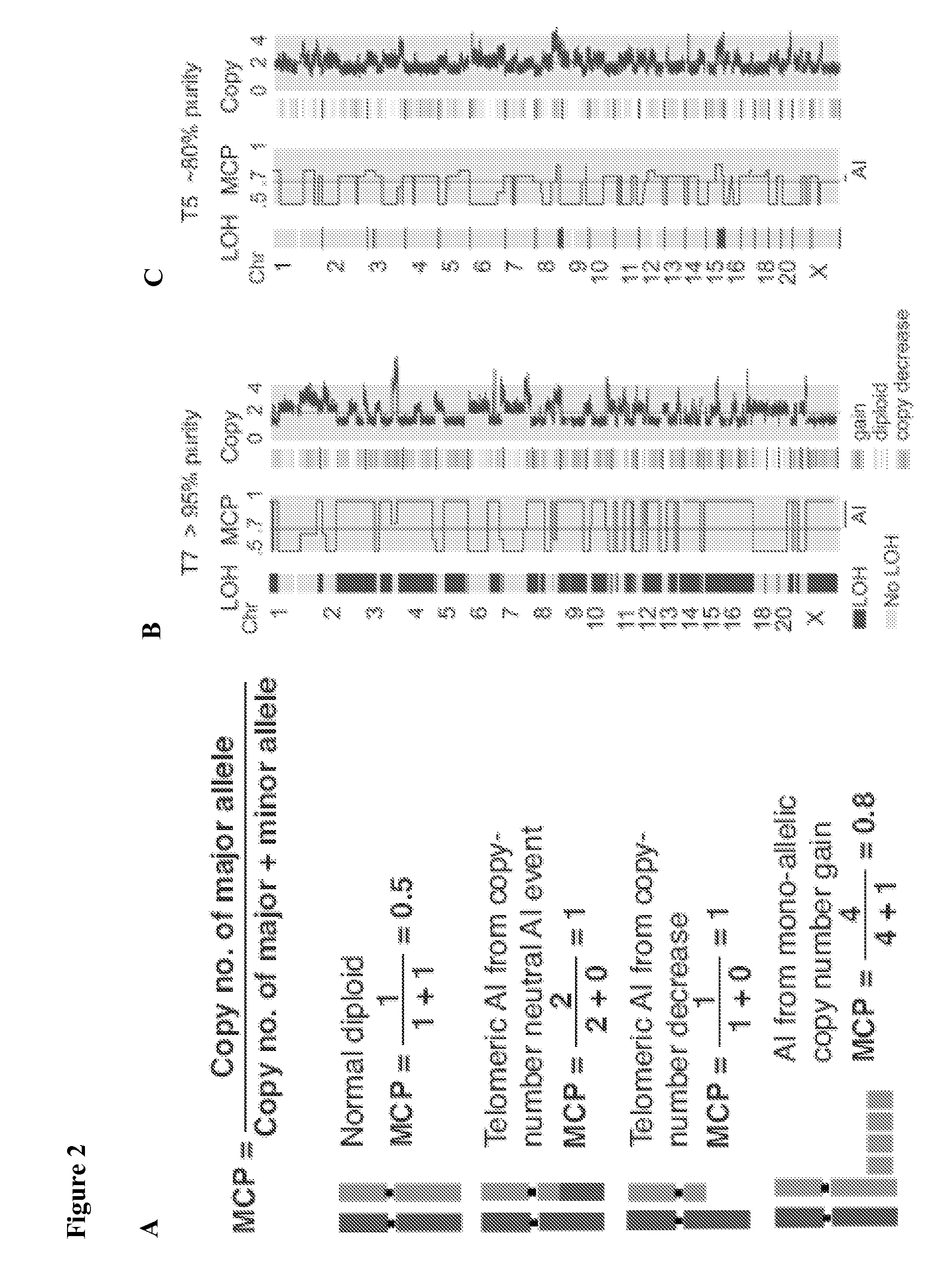 Methods for predicting Anti-cancer response