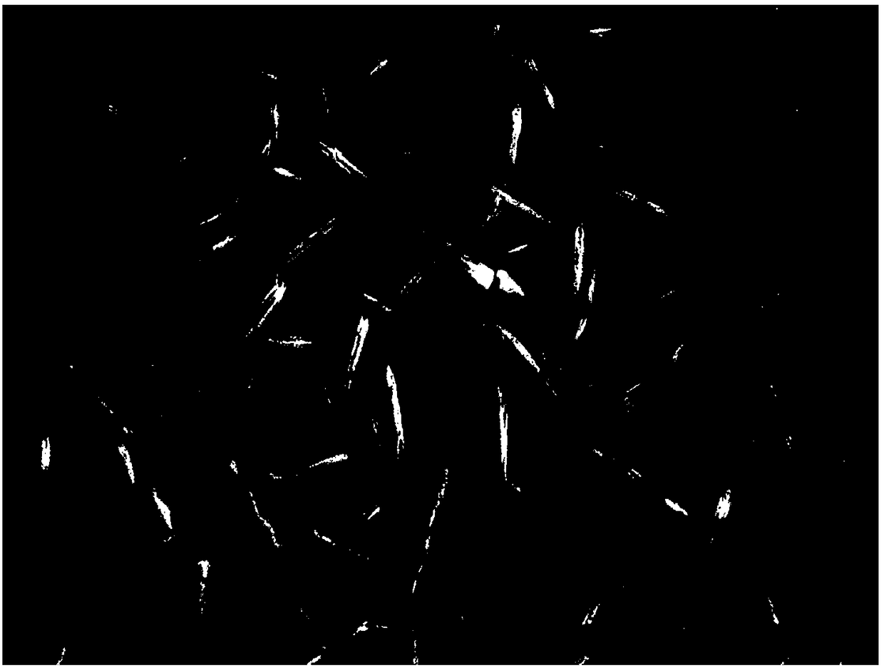 Synthesis method of self-assembled Ni3S2 nano-sheet