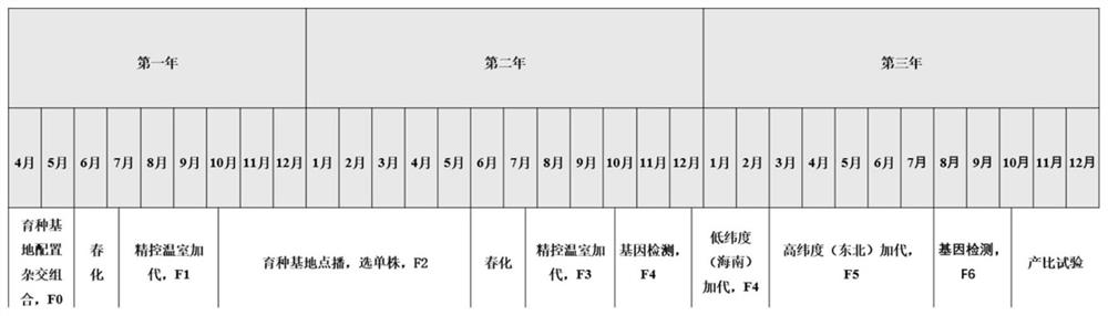 Breeding method of winter wheat by molecular marker-assisted selection generation-adding technology