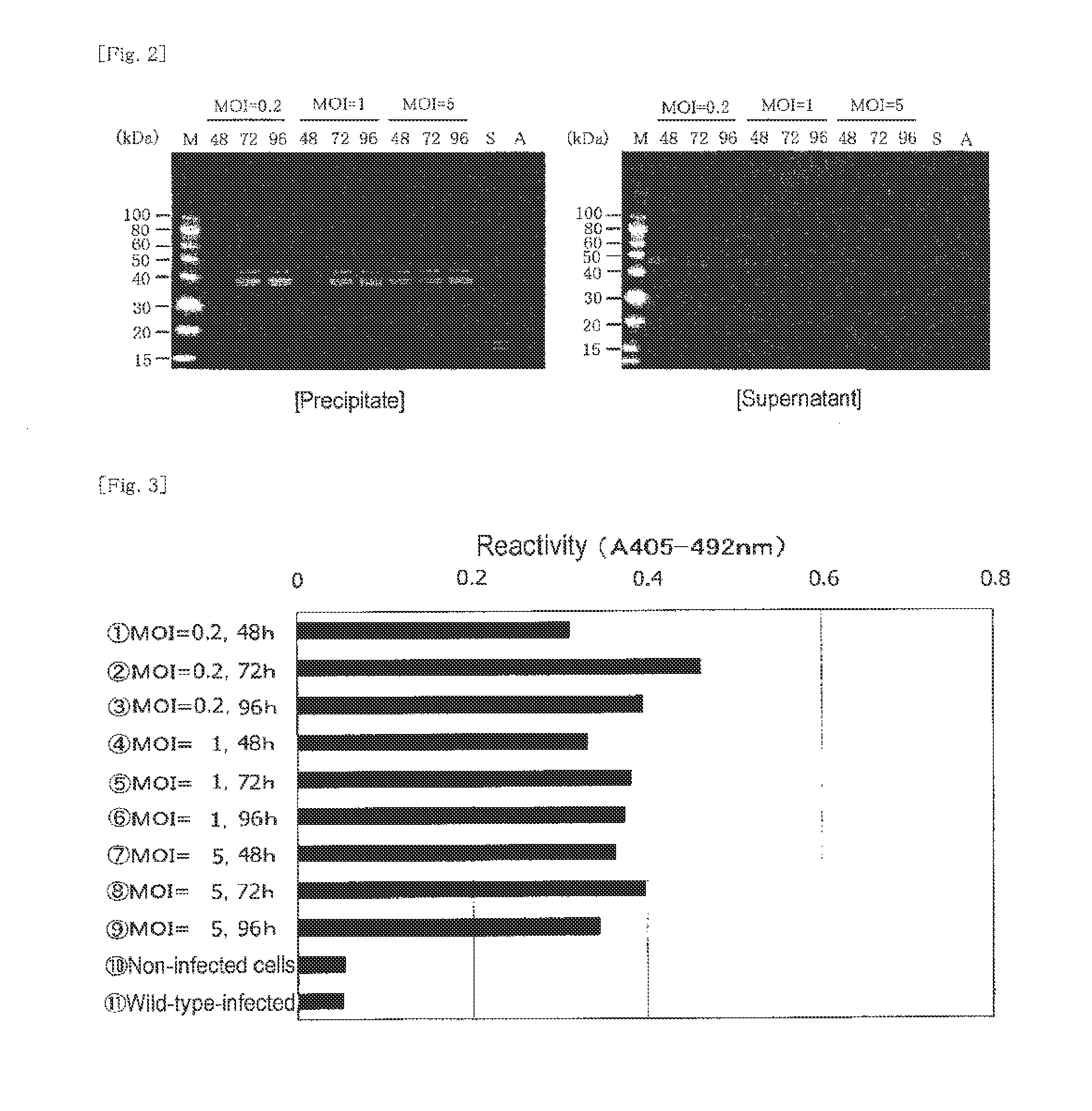 Nucleic acid fragment encoding a horseshoe crab-derived pro-clotting enzyme