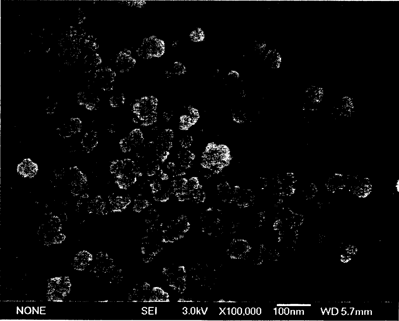 Preparation of high-purity nanometer silicon dioxide