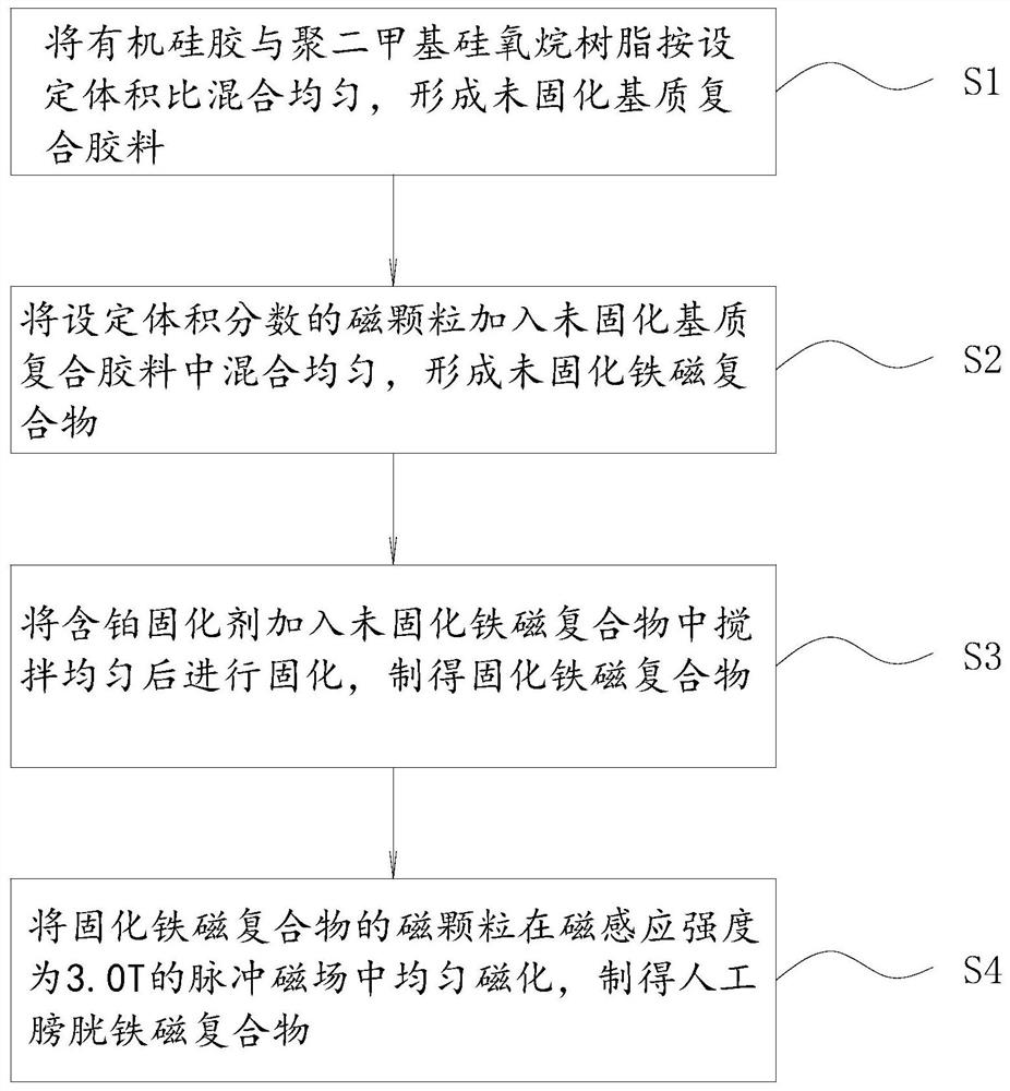 A kind of ferromagnetic compound of artificial bladder and preparation method thereof