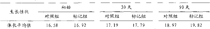 Marking method of selective breeding individual of turbot