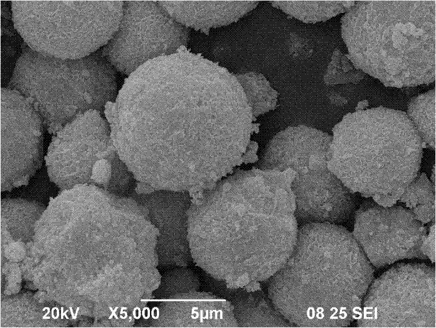 Bismuth subcarbonate photocatalyst and preparation method thereof