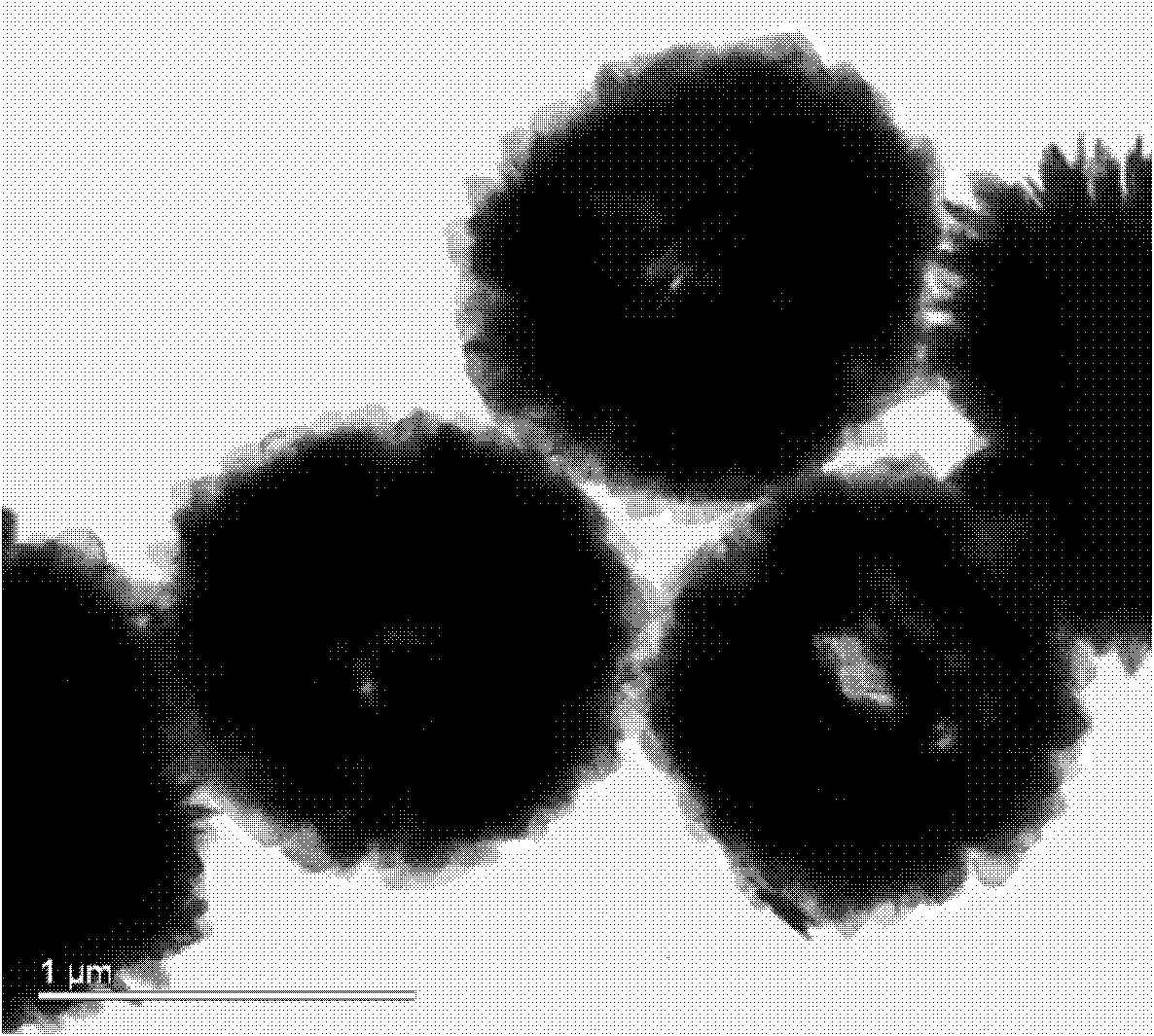 Bismuth subcarbonate photocatalyst and preparation method thereof