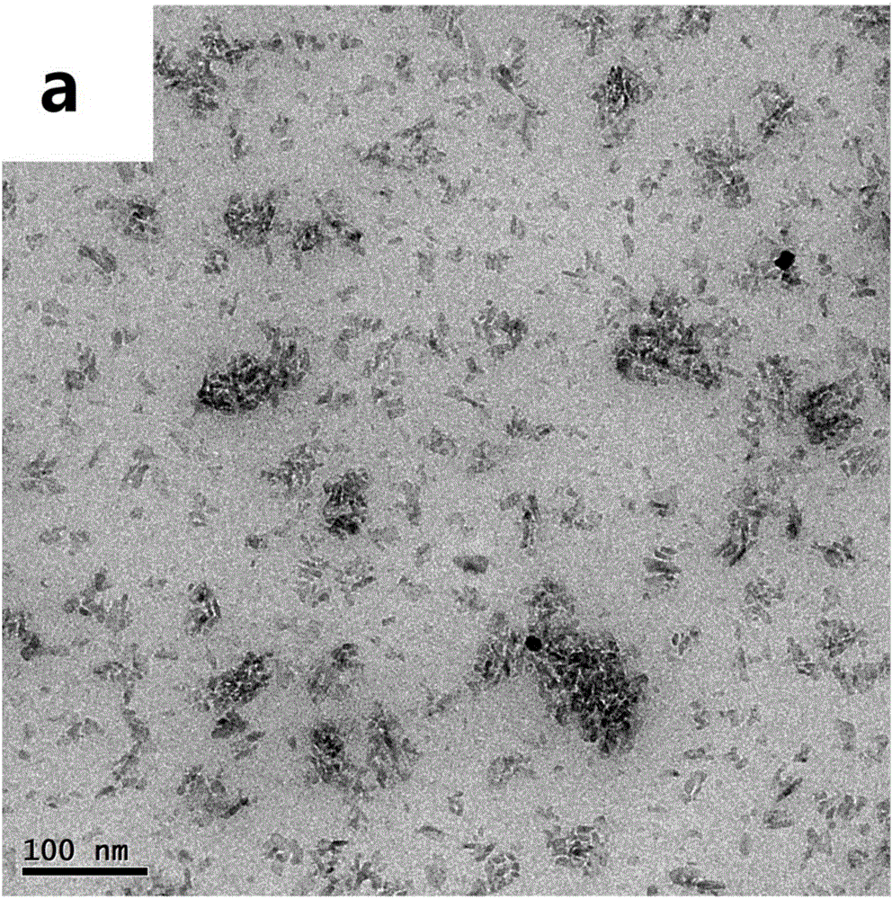 Catalyst, as well as preparation method and application thereof