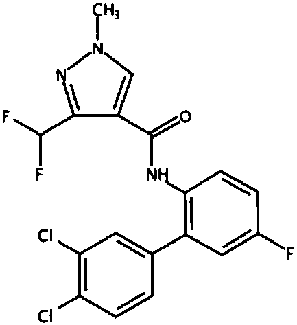 Bactericidal composition and application thereof