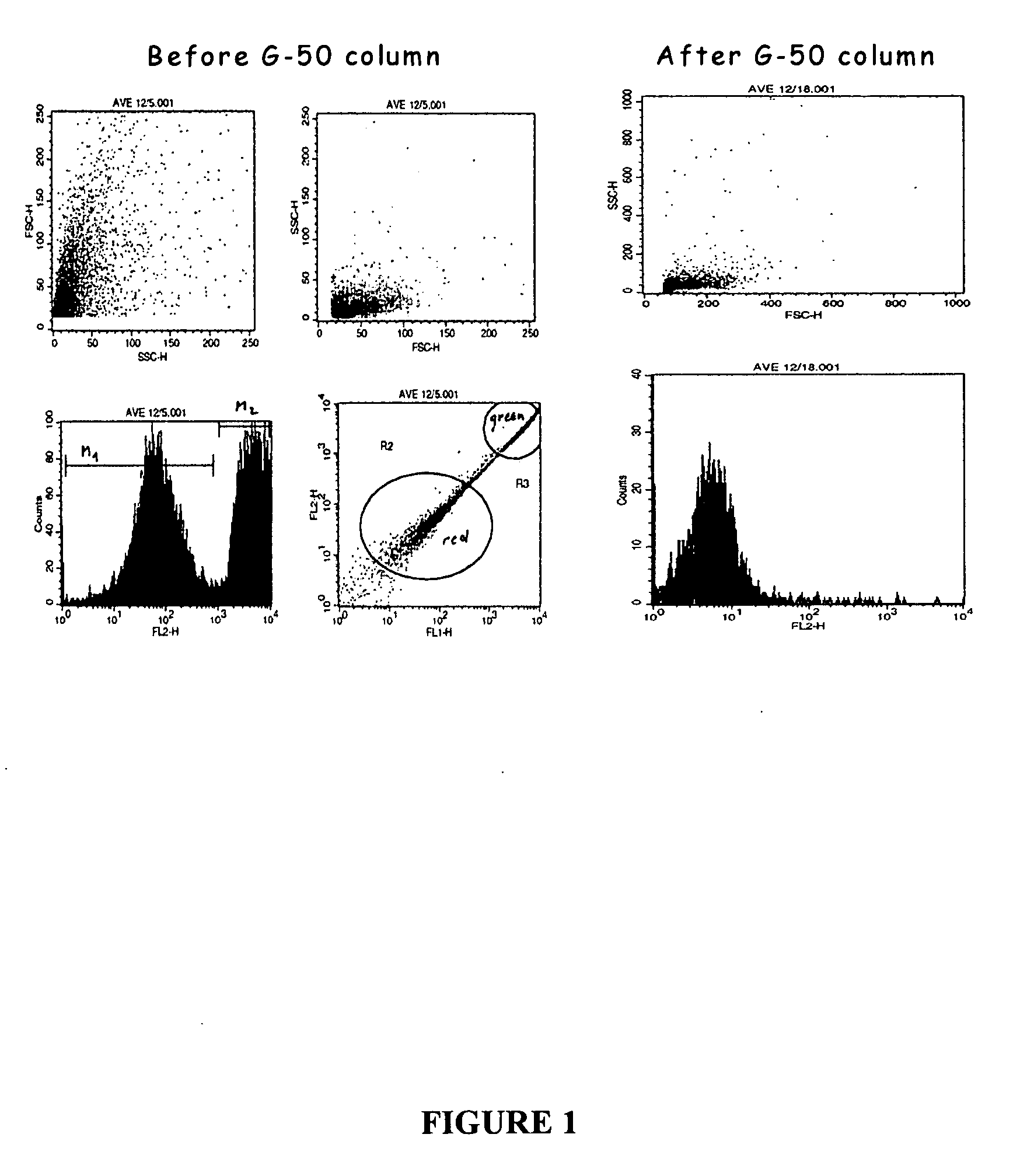 Liposomes containing novel targeting and/or fusogenic peptides, preparations containing them and therapeutic use thereof