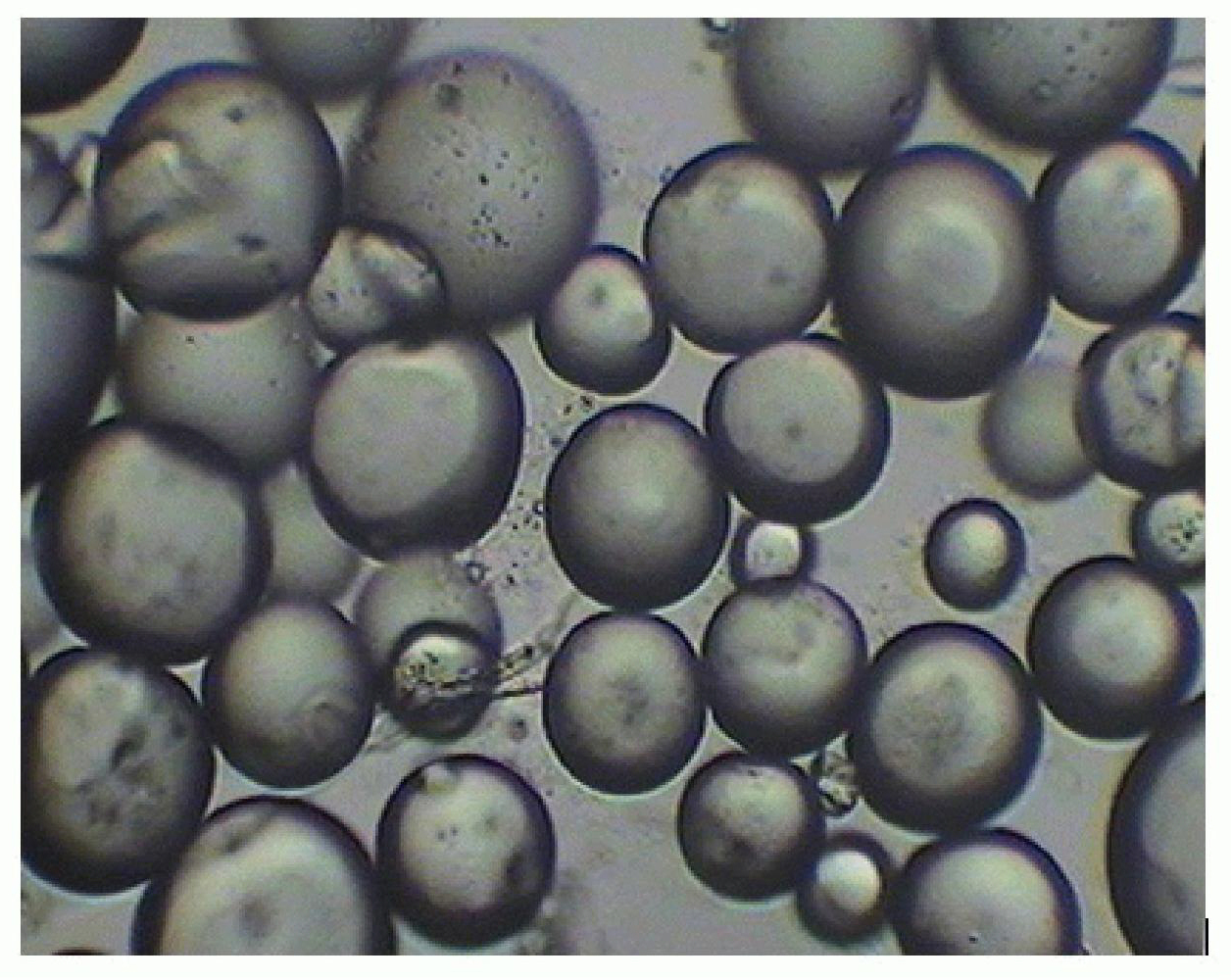 Electrophoretic microcapsules formed by complex coacervation of carboxyl butyronitrile/gelatin and Arabic gum and preparation method thereof