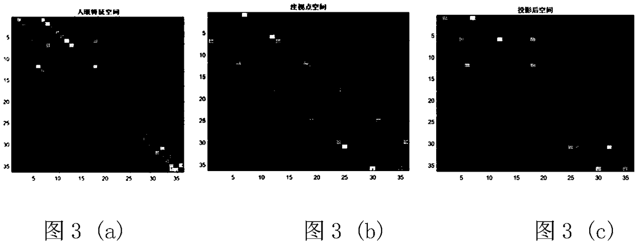 A Fixation Estimation Method Based on Correlation Entropy