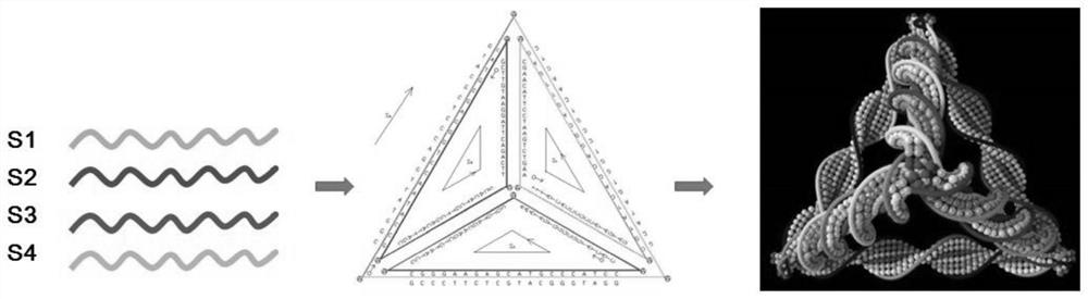 Application of dna tetrahedron in preparation of medicine for treating Alzheimer's disease