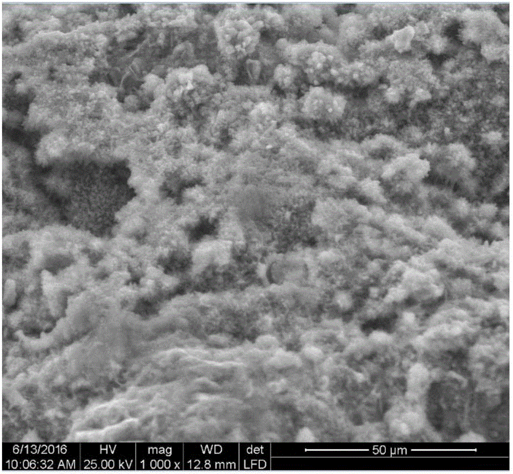 Preparation method of water body molybdate adsorbent based on solid waste steel slag