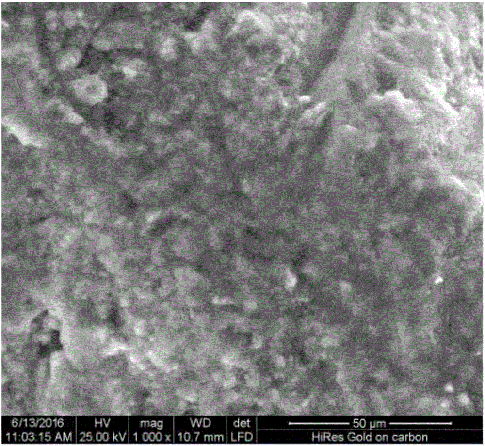 Preparation method of water body molybdate adsorbent based on solid waste steel slag