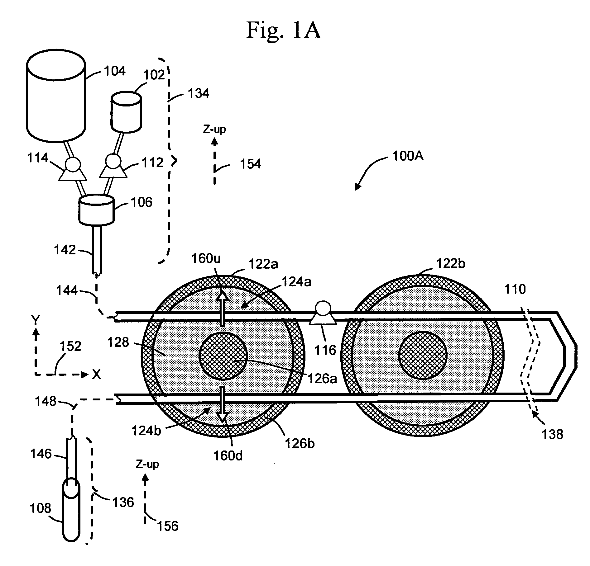 Magnetic separation of rare cells